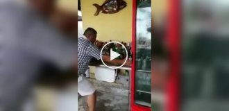 Попытка спасти самое ценное