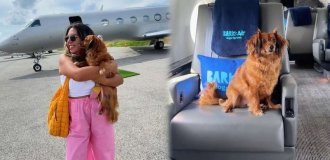 American airline for dogs made its first flight (2 photos + 1 video)