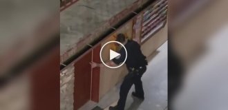 Дикий медведь забаррикадировался в ванной в отеле в Теннесси