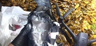 С помощью пластиковой вороны женщины доставляли наркотики в тюрьму (3 фото)