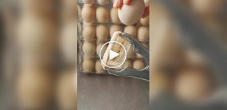 Китайский шеф-повар и его безумный яичный креатив