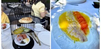 Food as Performance: 15 Examples of Gastronomic Trash Art (16 photos)