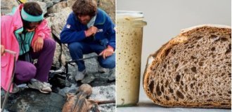 Вкус вечной мерзлоты: биологи вырастили закваску на останках древнего человека (4 фото)