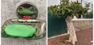 30 случаев, когда мир смотрит на тебя в упор и с интересом (31 фото)