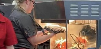 Работница McDonald's посушила половую тряпку над картофелем фри (3 фото + 1 видео)