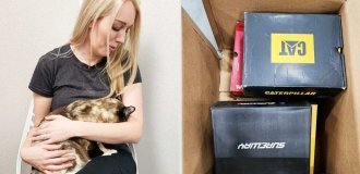 A cat accidentally ended up in an Amazon box. She flew 1050 km and returned only a week later (4 photos + 1 video)