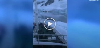 Экспедиционное судно аккуратно отодвинуло ледяную преграду в Антарктике