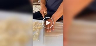 Extreme squid cutting