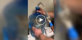 Самодельная ингаляционная камера для кота