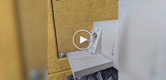 Training the Bumblebee Queen