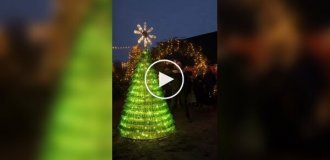 Пивная елка