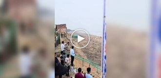 Массовое гнездование морских черепах в штате Одиша в Индии