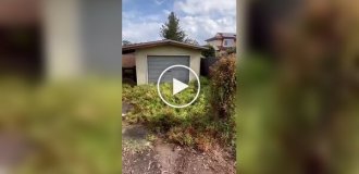 Ось з ким хочеться працювати в парі