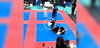 Собака бросилась вызволять хозяина во время турнира по джиу-джитсу