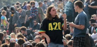 Код 420 — что связывает американских любителей марихуаны с этой цифрой (3 фото)