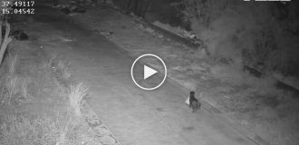 In Italy, a man taught his dog to illegally throw away trash