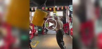 A guy turned a punching bag workout into a real show