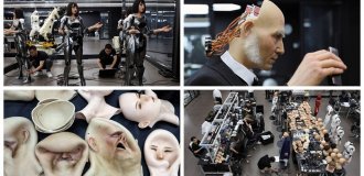 What does a Chinese factory for the production of humanoid robots look like (16 photos + 1 video)