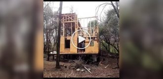 Young family built a house out of wood in the forest