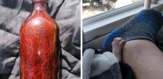 30 увлекательных вещей, которые доказывают, что жизнь полна чудес (31 фото)