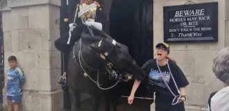 Кінь королівської гвардії вкусив туристку (4 фото + 1 відео)