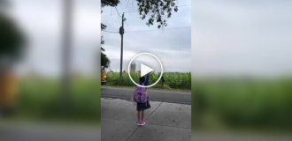 В США водитель школьного автобуса забыл первоклассницу