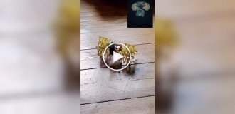 A digitized fly brain was connected to a robot