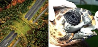 20+ photos of real-life curiosities that few people know about, and many don't even know they exist (23 photos)