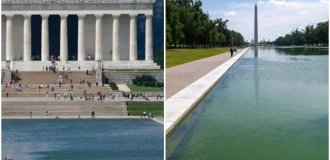 Трамп пофарбував басейн Лінкольна. Фарба відвалилася (5 фото)