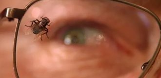 Худший эпизод лучшего сериала (3 фото)