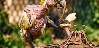 He Lived to Be 120: The Story of the World's Oldest and Most Famous Parrot (6 Photos)