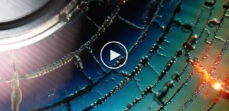 CD-диск разогрели микроволновке