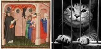 Почему католическая церковь испытывала неприязнь к кошкам (8 фото)
