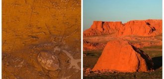 Bayanzag Tract: Flaming Rocks of Mongolia (8 photos)