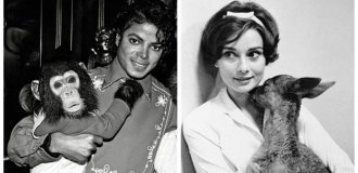 8 знаменитостей, решившихся завести экзотических питомцев (9 фото)