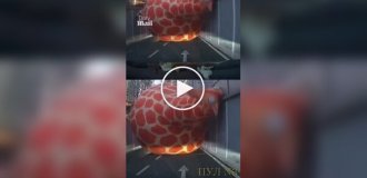 An inflatable giraffe blocked Tunnel in China
