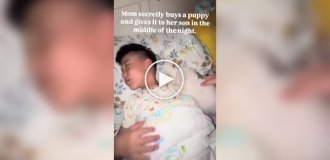 Funny reaction of a boy who received a puppy as a gift