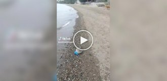 A man walked along the beach and found a rare fish on the shore