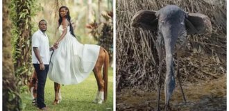 30 Photos That Will Make You Wipe Your Monitor and Your Eyes (31 photos)