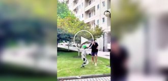 Подборка приколов с роботами