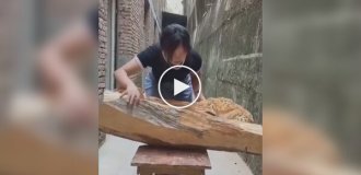 Впечатляющая диорама