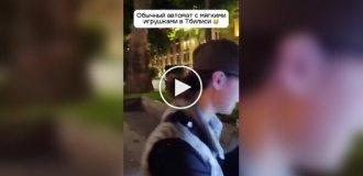 Кот залез в автомат с мягкими игрушками