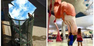 22 Photos Your Brain Will Refuse to Believe Are Real (23 photos)