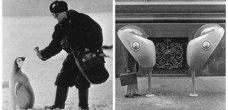 15 historical photographs that will change your understanding of the past (16 photos)