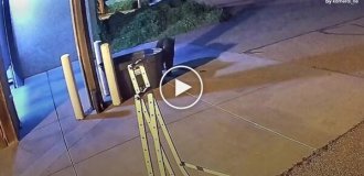 Медведь украл сумку с пожарным снаряжением