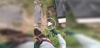 Даже у профессионала случаются неловкие моменты при работе с бензопилой