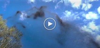 Необычное брачное поведение комаров в полете