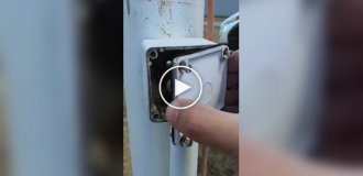 Типичный день в Австралии