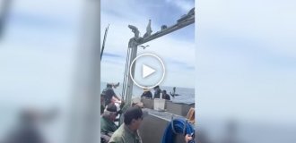 Рыба стала поперек горла