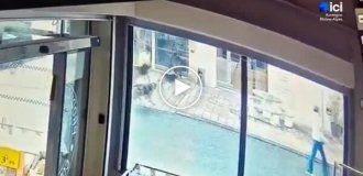 Кабан разбил витрину магазина во время побега от собак